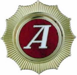 Airline Wing - 10626