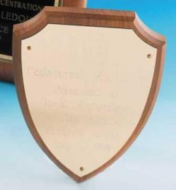 Arrowhead Plaque - 204