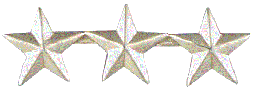 Star Rank Insignia - RI-3S