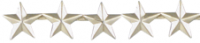 Star Rank Insignia - RI-5S