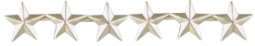 Star Rank Insignia - RI-6S