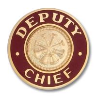 Deputy Chief collar insignia 3271
