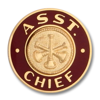 Asst. Chief collar insignia 3272