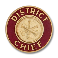 District Chief collar insignia 3323