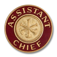 Assistant Chief collar insignia 3406