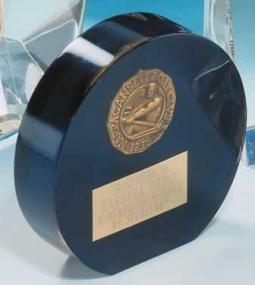 Acrylic Lucite Embedment Wedge Style 441