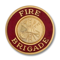 Fire Brigade collar insignia 4556