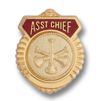 Asst Chief Shield emblem 4736