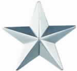 Star Insignia Style 4836