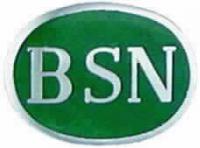 BSN Emblem with Enameled background Style 5617