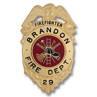 Eagle Topped badge QS-B318