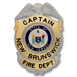 Quick Ship Two-Toned Eagle Topped Badge QS-B5414