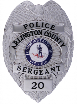 Applied Panel Eagle Topped Badge B7316AH