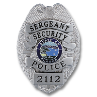 Applied Panel Eagle Topped Badge B7319A