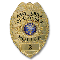 Applied Panel Eagle Topped Badge B8919A