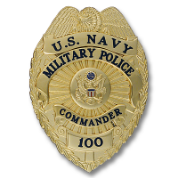 Applied Panel Eagle Topped Badge B8919AH