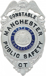 Eagle Topped Badge E199