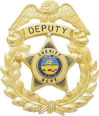 Eagle Topped 5 Point Star Badge w/wreath E402_S80