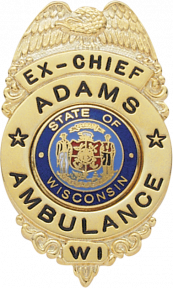 Eagle Topped Badge F122