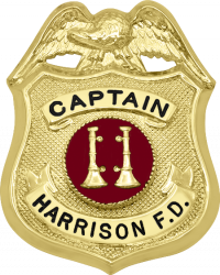 Eagle Topped Badge F131