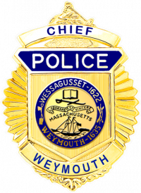 FlexBadge Shield Similar to our B587