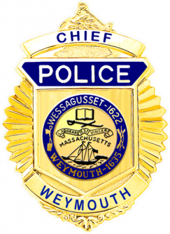 FlexBadge Shield Similar to our B587