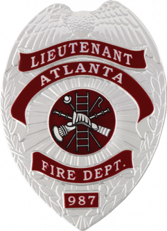 FlexBadge Shield with Eagle and Reverse Enamel Panel