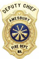 Shield Type Badge M-100-D