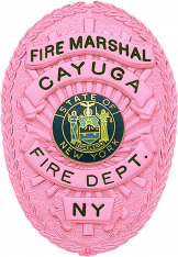 Cancer Awareness Oval badge M260_PK