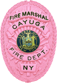 Cancer Awareness Oval badge M260_PK