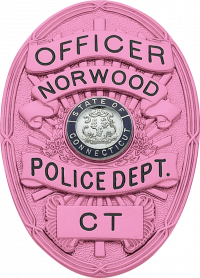 Cancer Awareness Oval badge M262_PK