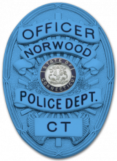 Autism Awareness Oval badge M262_BL