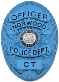 Autism Awareness Oval badge M262_BL