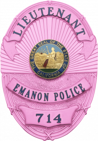 Cancer Awareness Oval badge M263A_PK