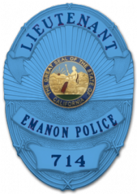 Autism Awareness Oval badge M263A_BL