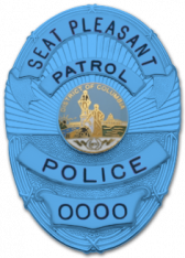 Autism Awareness Oval badge M263_BL