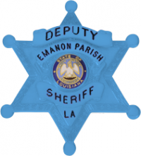 Autism Awareness Star badge M385A_BL