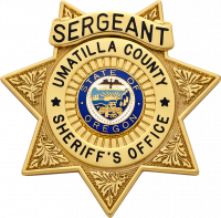 Seven Point Star Badge M399CA