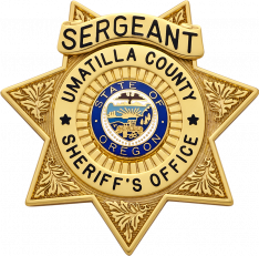 Seven Point Star Badge M399CA