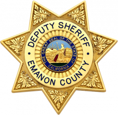 Seven Point Star Badge M399C