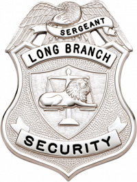 Eagle Topped Shield Type Badge M-962E