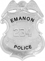 Eagle Topped Shield Type Badge MW-5004AN