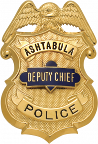 Eagle Topped Shield Type Badge MW-5004A