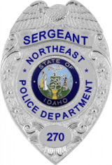 Eagle over shield badge NEB-056