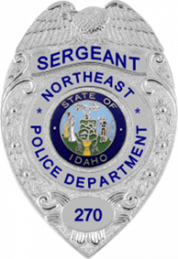 Eagle over shield badge NEB-056