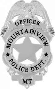 Eagle over shield badge NEB-426-NS