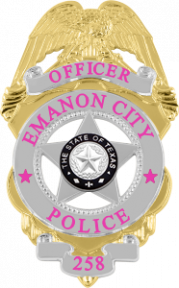 Eagle over shield badge NEB-426