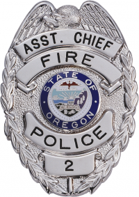 Quick Ship Eagle Topped Badge QSB2916