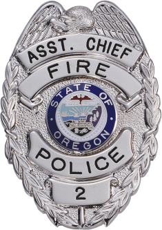 Quick Ship Eagle Topped Badge QSB2916