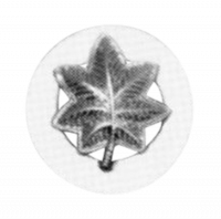 Major Or Lt Col. Insig.